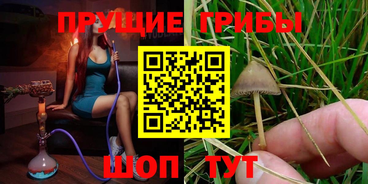 Псилоцибиновые грибы прущие грибы  Вход с VPN  Тольятти 