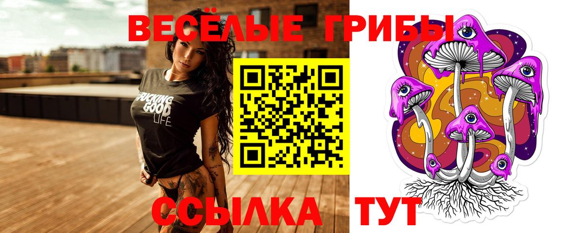 Галлюциногенные грибы Cubensis Тольятти